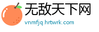 无敌天下网